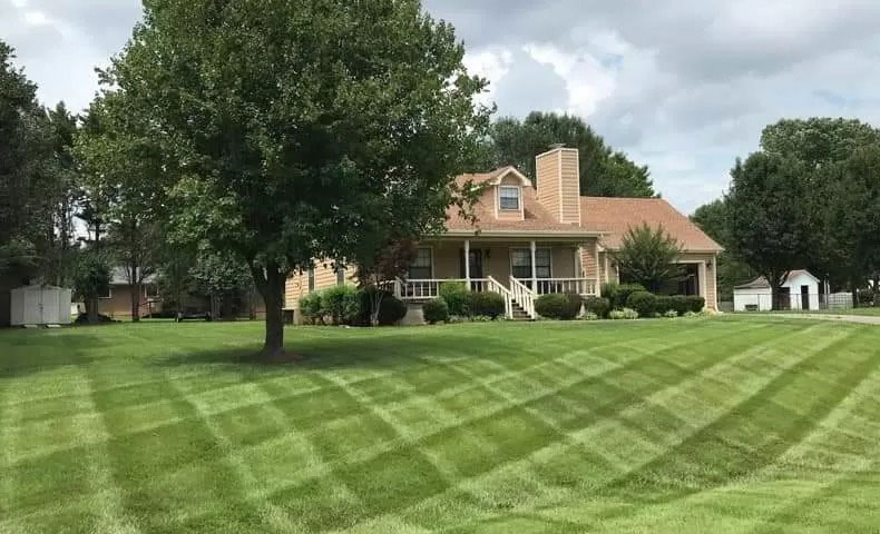 Text Goes Here